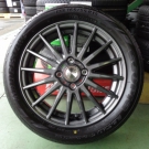 ブリヂストン　EX20C