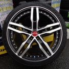 キンフォレスト