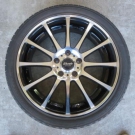 ヨコハマ　ＤＮＡエコス