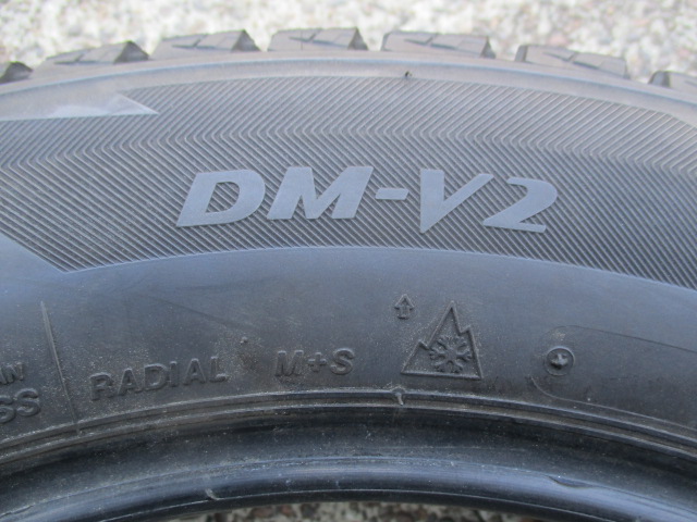 ブリヂストン　DM-V2